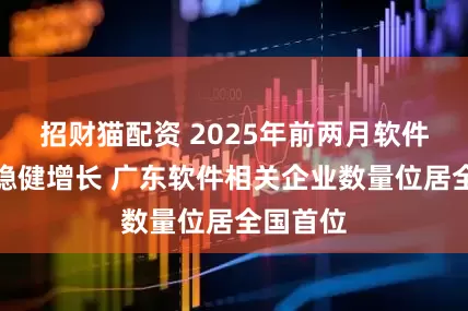 招财猫配资 2025年前两月软件业收入稳健增长 广东软件相关企业数量位居全国首位
