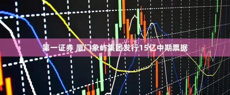 第一证券 厦门象屿集团发行15亿中期票据