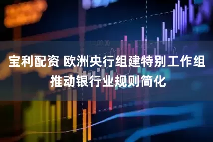 宝利配资 欧洲央行组建特别工作组 推动银行业规则简化