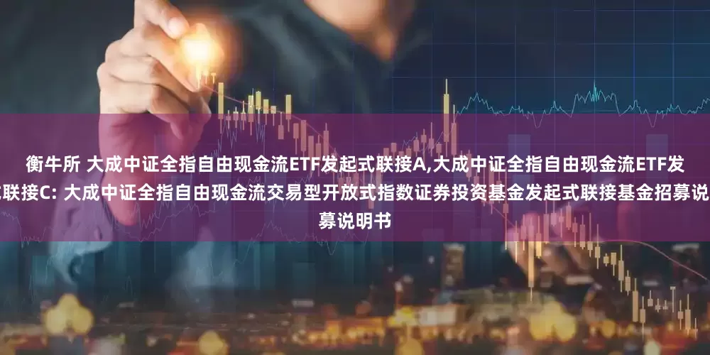 衡牛所 大成中证全指自由现金流ETF发起式联接A,大成中证全指自由现金流ETF发起式联接C: 大成中证全指自由现金流交易型开放式指数证券投资基金发起式联接基金招募说明书